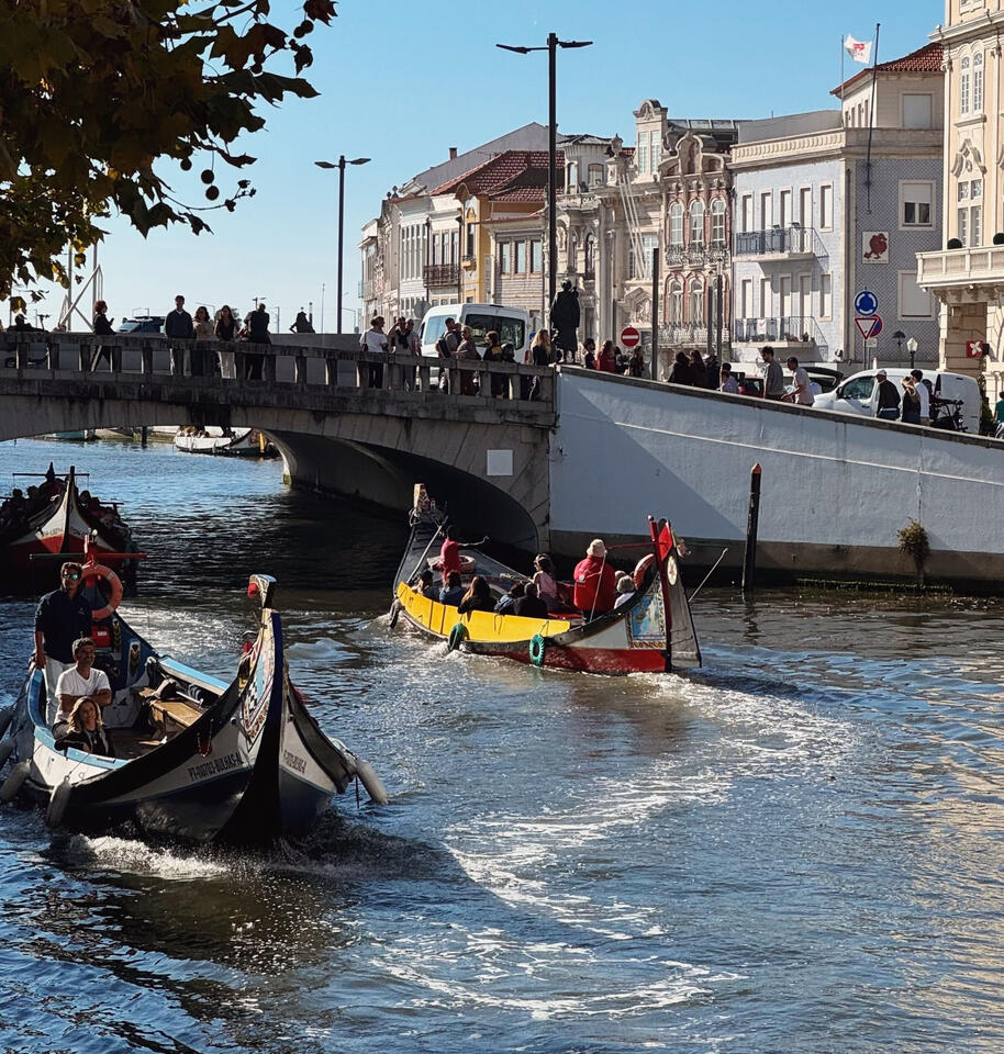 Colorful moliceiro boats on the Aveiro canals